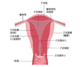 ӹĤ